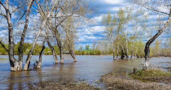 Народное голосование. ТОП-20 фотографий за 18.04.2023 г.