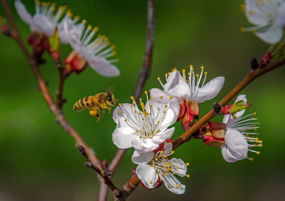 Народное голосование. ТОП-20 фотографий за 20.04.2023 г.