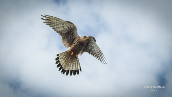 Народное голосование. ТОП-20 фотографий за 18.05.2023 г.