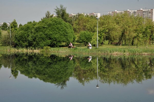 Народное голосование. ТОП-20 фотографий за 30.05.2023 г.