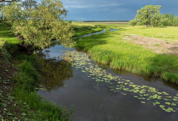 Народное голосование. ТОП-20 фотографий за 26.07.2023 г.