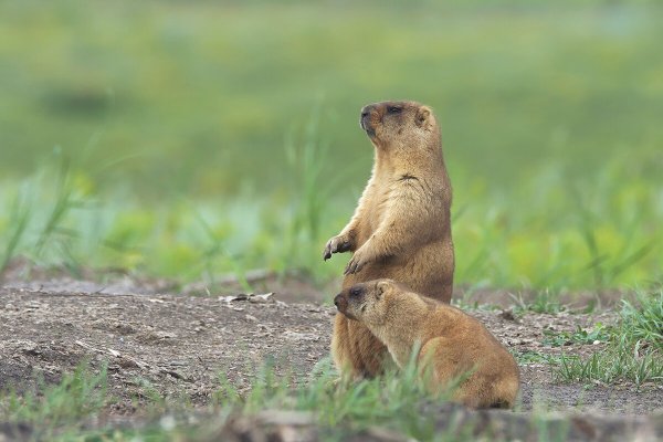 Народное голосование. ТОП-20 фотографий за 08.08.2023 г.