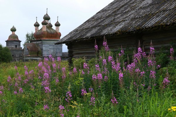 Народное голосование. ТОП-20 фотографий за 10.08.2023 г.