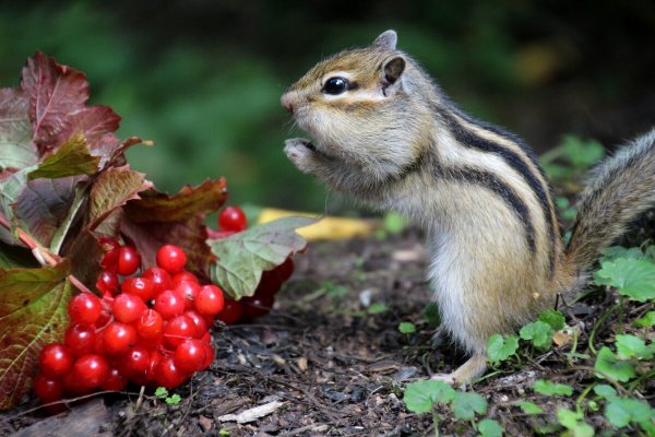 Народное голосование. ТОП-20 фотографий за 02.09.2023 г.