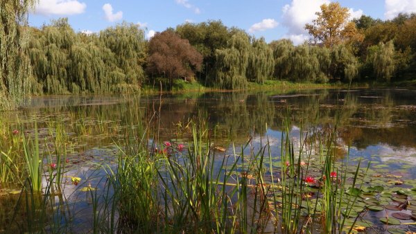 Народное голосование. ТОП-20 фотографий за 06.09.2023 г.