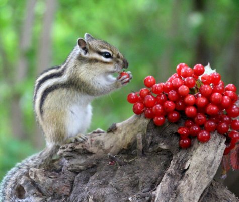 Народное голосование. ТОП-20 фотографий за 16.09.2023 г.