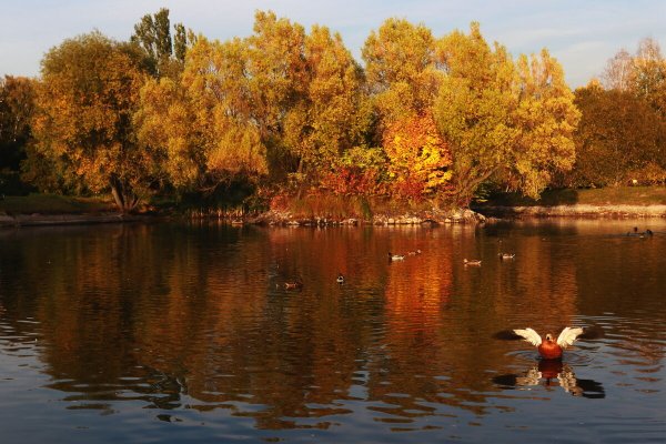 Народное голосование. ТОП-20 фотографий за 27.09.2023 г.