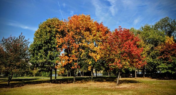 Народное голосование. ТОП-20 фотографий за 03.10.2023 г.