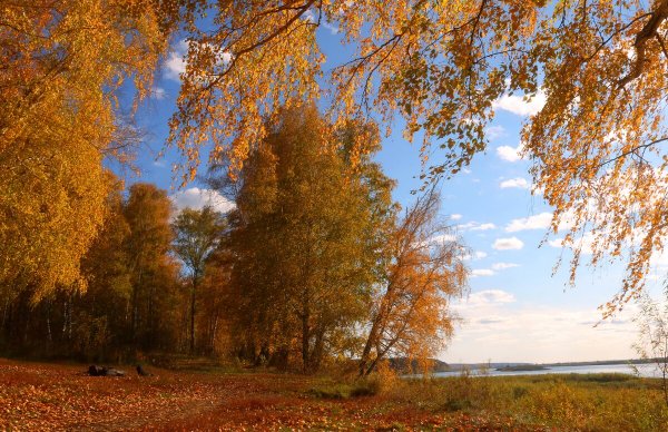 Народное голосование. ТОП-20 фотографий за 21.10.2023 г.