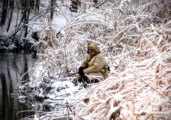 Народное голосование. ТОП-20 фотографий за 19.12.2023 г.