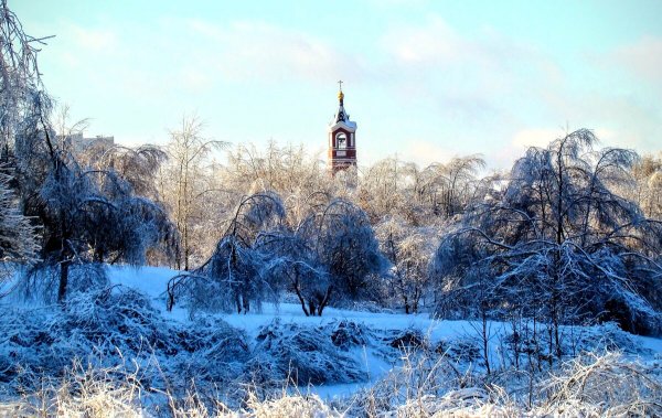 Народное голосование. ТОП-20 фотографий за 20.12.2023 г.