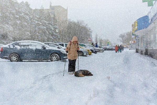 Народное голосование. ТОП-20 фотографий за 21.12.2023 г.