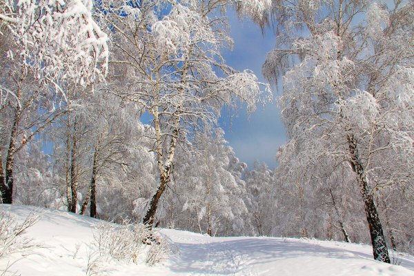 Народное голосование. ТОП-20 фотографий за 03.01.2024 г.