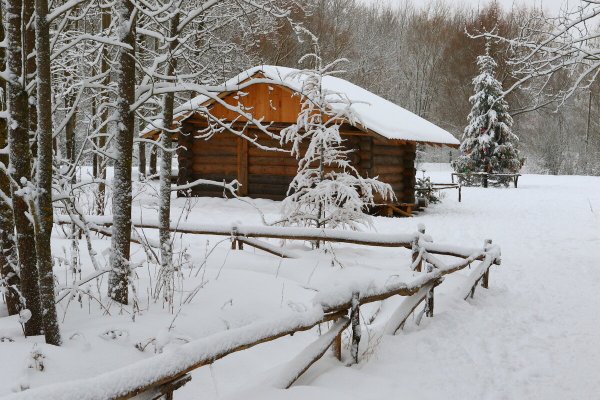 Народное голосование. ТОП-20 фотографий за 05.01.2024 г.