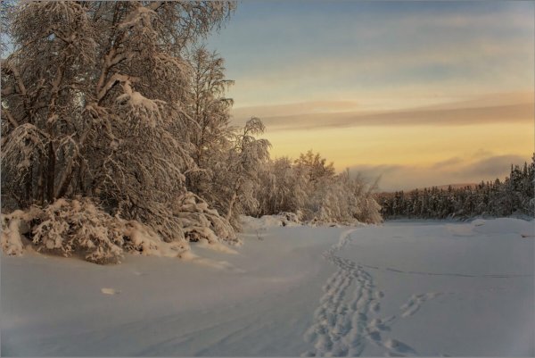 Народное голосование. ТОП-20 фотографий за 08.01.2024 г.