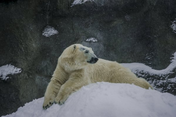 Народное голосование. ТОП-20 фотографий за 16.01.2024 г.