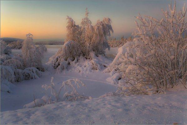 Народное голосование. ТОП-20 фотографий за 19.01.2024 г.