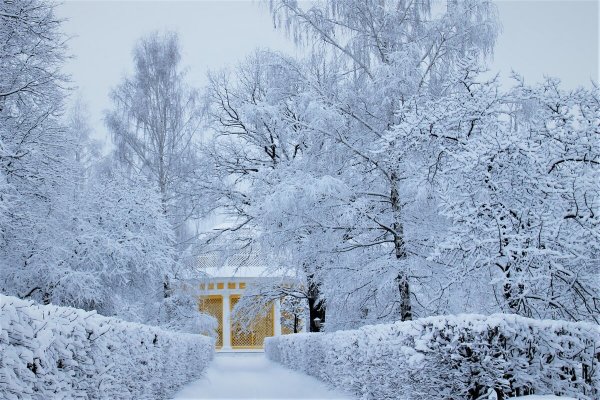 Народное голосование. ТОП-20 фотографий за 20.01.2024 г.