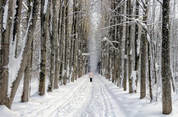 Народное голосование. ТОП-20 фотографий за 23.01.2024 г.