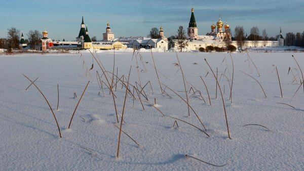 Народное голосование. ТОП-20 фотографий за 24.01.2024 г.