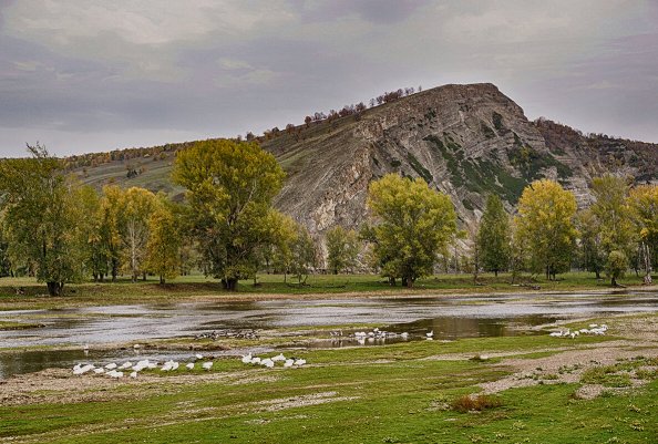 Народное голосование. ТОП-20 фотографий за 11.02.2024 г.