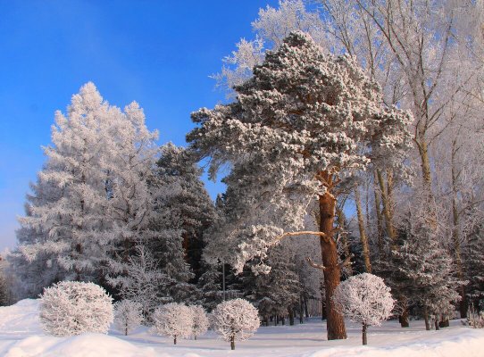 Народное голосование. ТОП-20 фотографий за 16.02.2024 г.