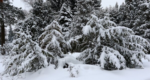 Народное голосование. ТОП-20 фотографий за 21.02.2024 г.