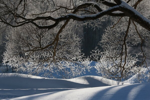 Народное голосование. ТОП-20 фотографий за 27.02.2024 г.