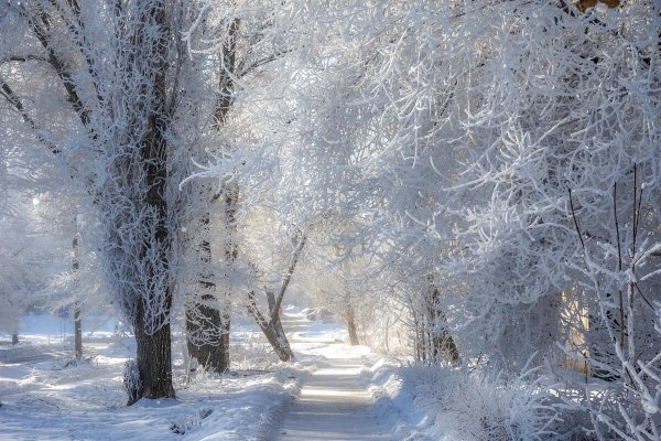 Народное голосование. ТОП-20 фотографий за 28.02.2024 г.