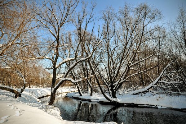 Народное голосование. ТОП-20 фотографий за 29.02.2024 г.