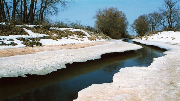 Народное голосование. ТОП-20 фотографий за 01.03.2024 г.