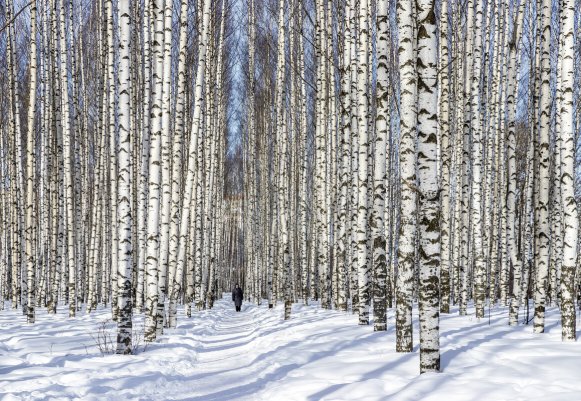 Народное голосование. ТОП-20 фотографий за 15.03.2024 г.