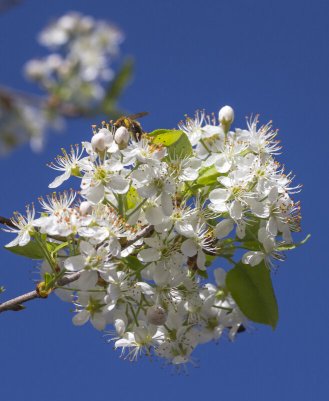 Народное голосование. ТОП-20 фотографий за 06.04.2024 г.