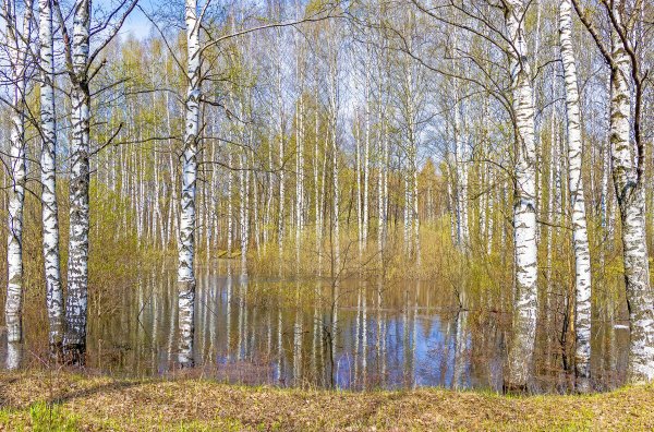 Народное голосование. ТОП-20 фотографий за 17.05.2024 г.