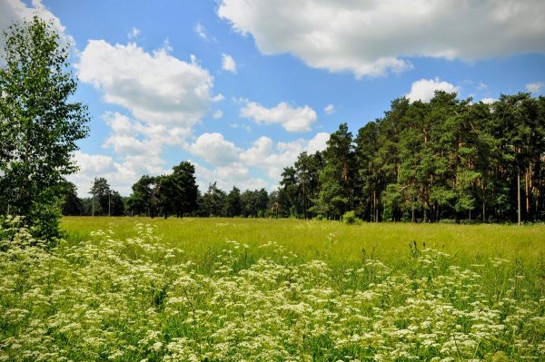 Народное голосование. ТОП-20 фотографий за 16.06.2024 г.