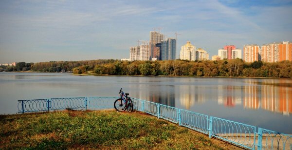 Народное голосование. ТОП-20 фотографий за 02.10.2024 г.