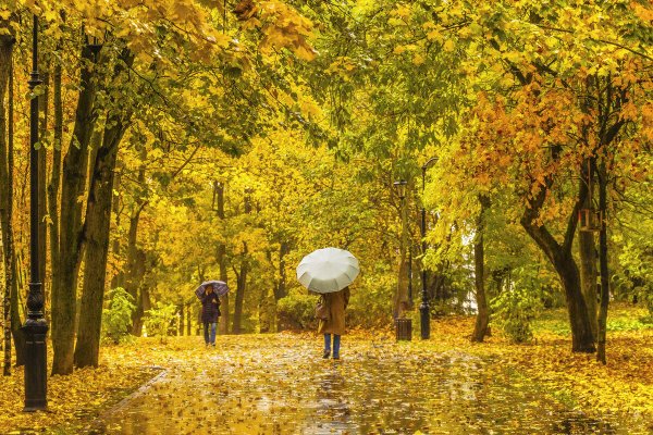 Народное голосование. ТОП-20 фотографий за 13.10.2024 г.