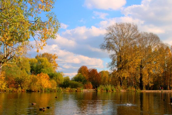 Народное голосование. ТОП-20 фотографий за 15.10.2024 г.