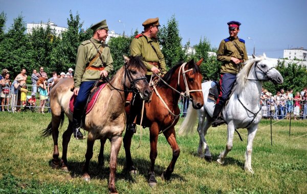 Народное голосование. ТОП-20 фотографий за 11.11.2024 г.