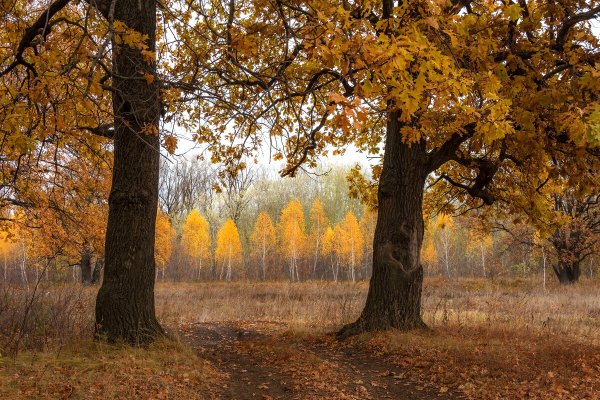 Народное голосование. ТОП-20 фотографий за 15.11.2024 г.