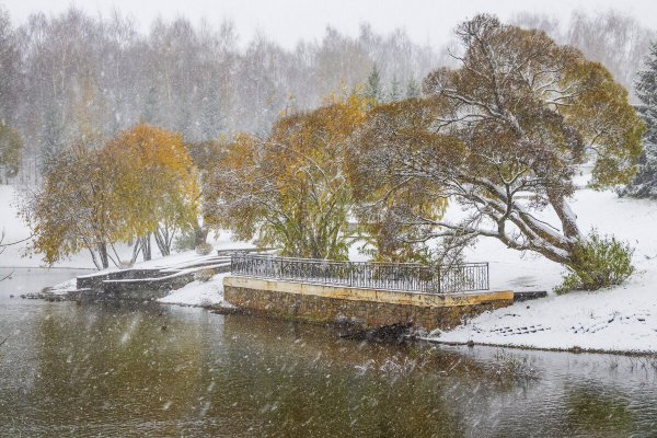 Народное голосование. ТОП-20 фотографий за 16.11.2024 г.