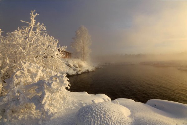 Народное голосование. ТОП-20 фотографий за 18.11.2024 г.