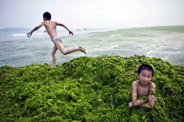 пляж Циндао, Китай (фото:Nir Elias)