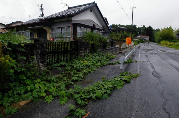 фото:Hiro Komae