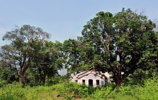 фото:Manjunath Kiran