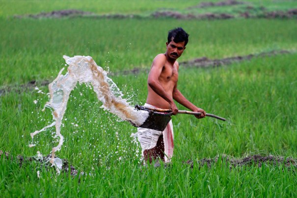 фото:Anupam Nath