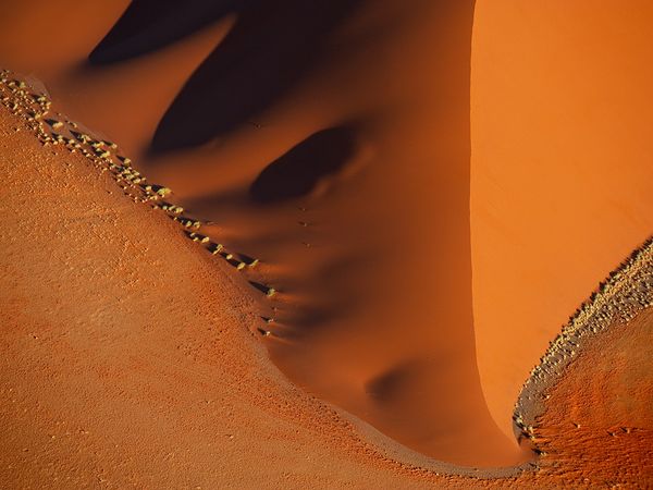 Дюны, Намибия, фото: Frans Lanting