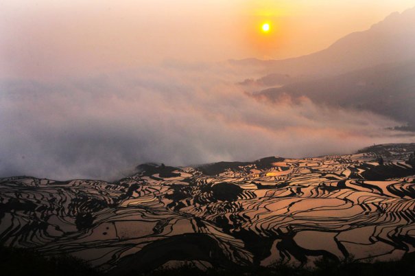 Рисовые поля, провинция Юньань