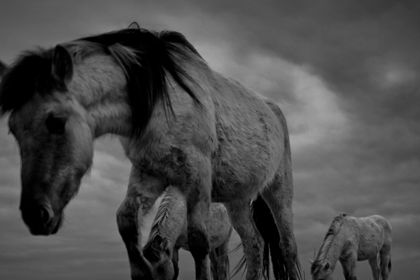 фотограф Chris Friel