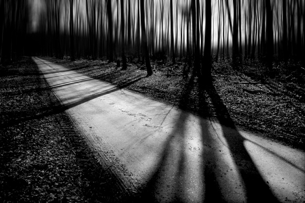 фотограф Chris Friel